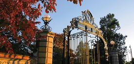 Gate of Ƶapp University